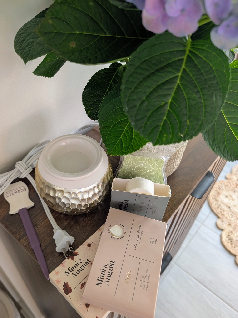 Scentsy Ceramic Warmer